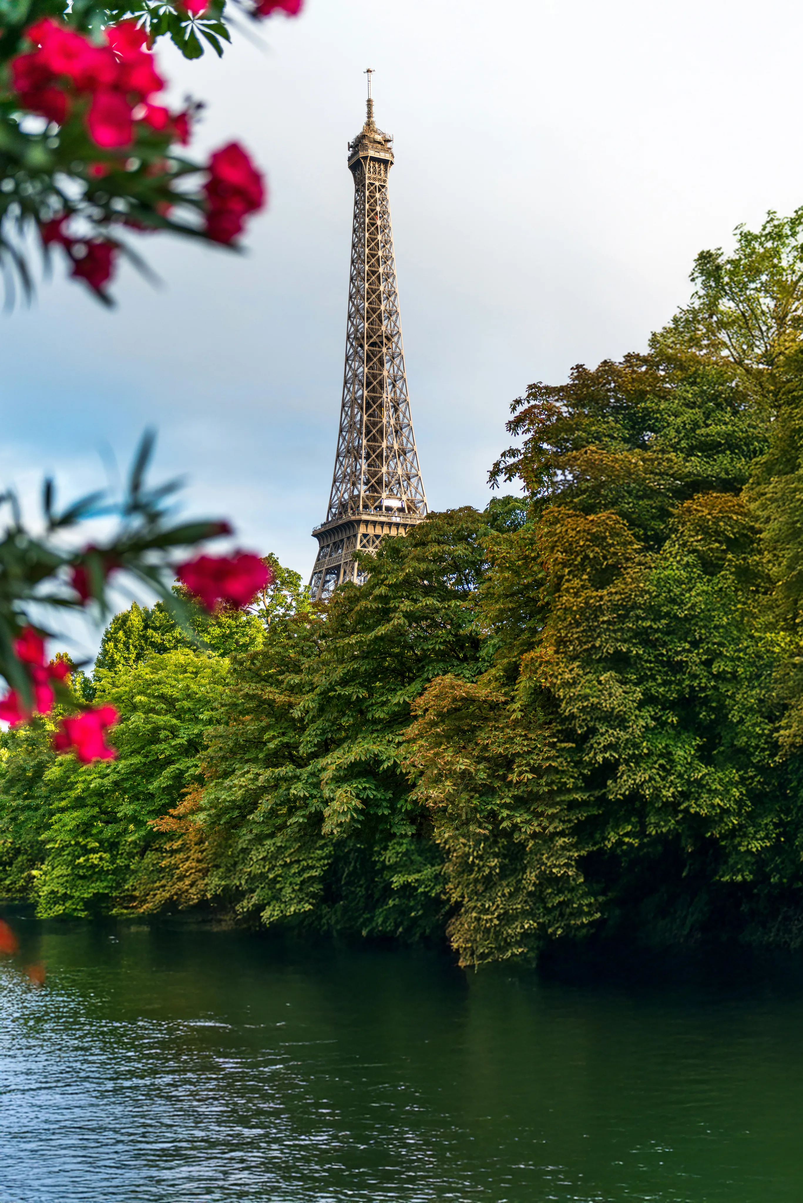 Envie de participer à un mariage